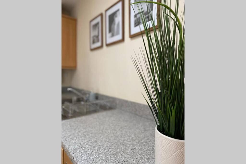 Alicia Newport By Mia Living 2 Bedroom Apartment With Dedicated Parking Εξωτερικό φωτογραφία