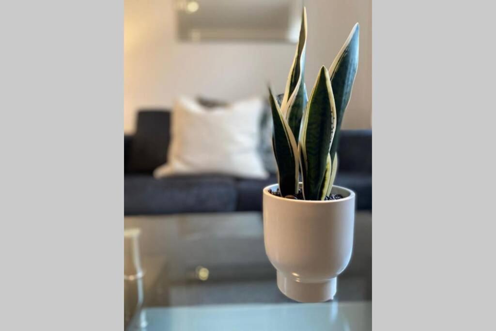 Alicia Newport By Mia Living 2 Bedroom Apartment With Dedicated Parking Εξωτερικό φωτογραφία